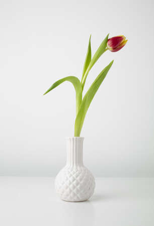 vase with tulip desk. High quality beautiful photo conceptの写真素材