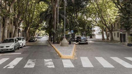 view city street with cars crosswalk. High quality beautiful photo concept