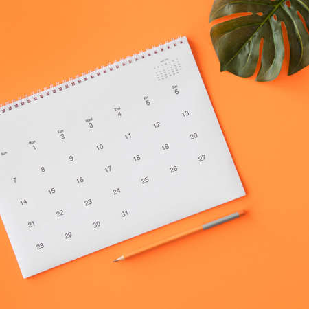 calendar with pencil monstera leaf. High quality beautiful photo conceptの写真素材