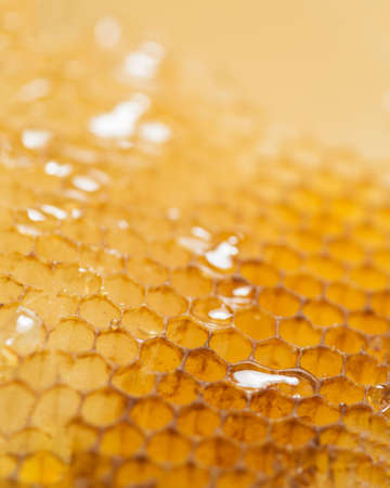 close up honey comb. High quality beautiful photo conceptの写真素材