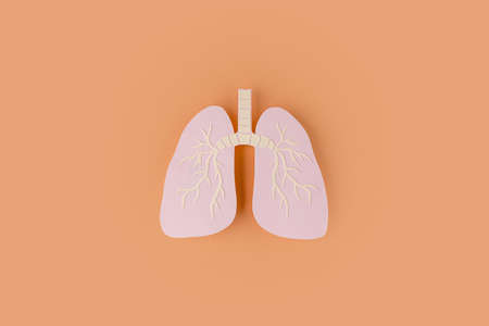paper made lungs isolated on orange.