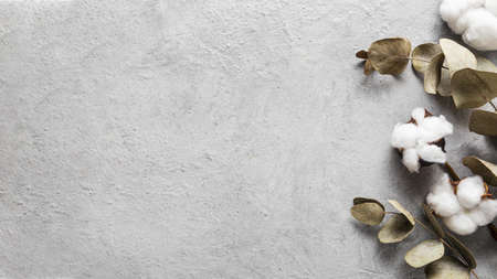 top view dry leaves with copy space. High quality beautiful photo conceptの写真素材