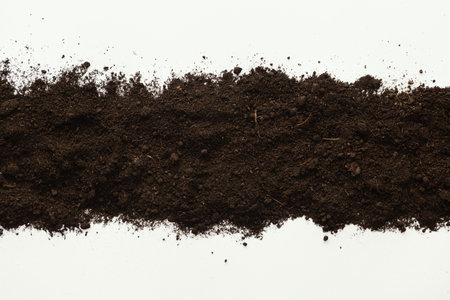 Photo Top view natural soil. High quality beautiful photo conceptの写真素材