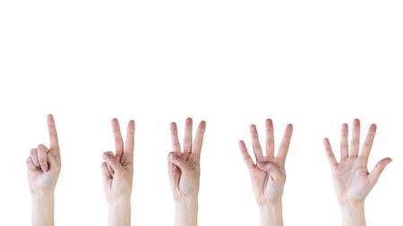 Photo Counting hands from one to five on white background. High quality beautiful photo conceptの写真素材