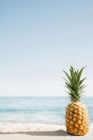 beach background with pineapple copyspace. High quality beautiful photo conceptの写真素材