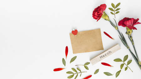 march inscription with red carnation flowers paper. High quality beautiful photo concept