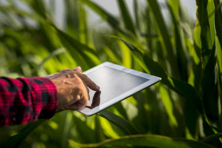 close up man using tablet field. High quality beautiful photo conceptの写真素材