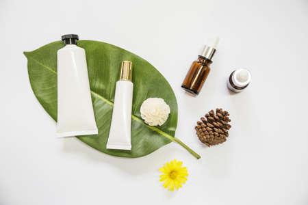 spa cosmetics product leaf with essential oil pinecone flowers on white background.の写真素材