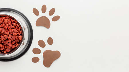 top view animal food with paw print animal day