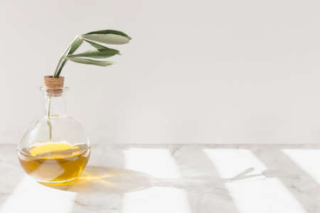 sunlight falling twig inside glass bottle floorの写真素材