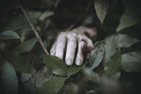 hand sticking grassの写真素材