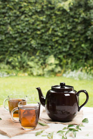 two transparent mug herbal tea with teapot table gardenの写真素材