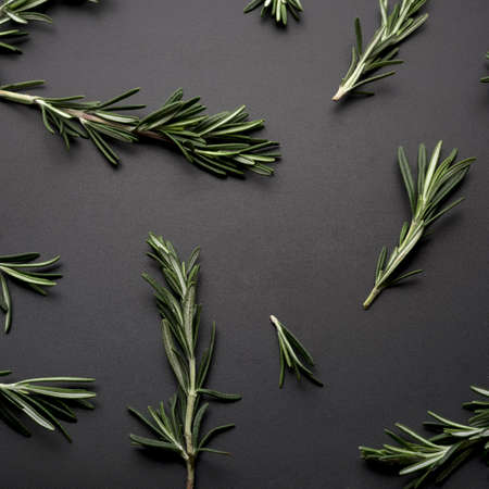 sprig rosemary spread black backgroundの写真素材