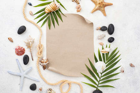 starfishes shells frame