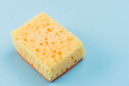 sponge. High quality photo
