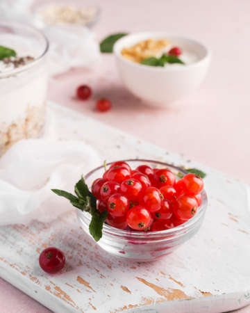 cranberries small bowl bio food lifestyle concept. High quality photoの写真素材