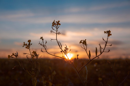 beautiful view morning light. High quality photoの写真素材