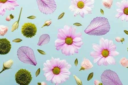 flat lay spring daisies leaves. High quality photoの写真素材
