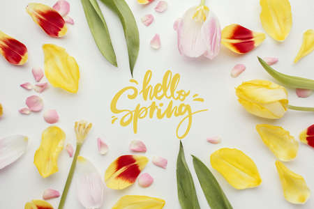 hello spring word flower petals. High quality beautiful photo conceptの写真素材
