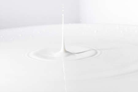 impact milk drop 2. High quality beautiful photo conceptの写真素材