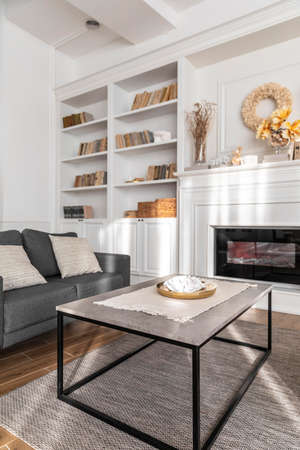 living room design with couch. High quality photo