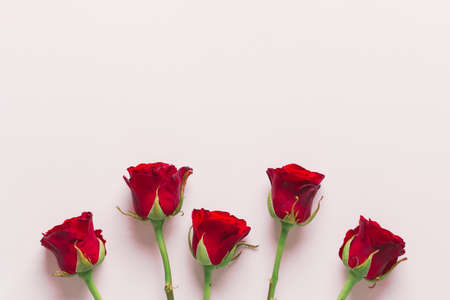 lovely red roses composition. High quality photoの写真素材