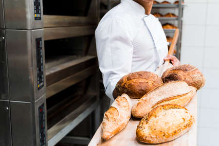 close up male baker holding fresh baked bread wooden shovel from oven. High quality photo