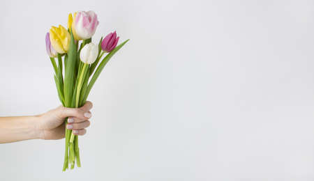 hand holding tulips bouquet. High quality beautiful photo conceptの写真素材
