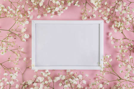 empty white blank frame surrounded with white baby s breath flowers against pink background. High...