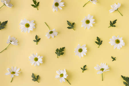 top view blooming flowers. High quality photoの写真素材