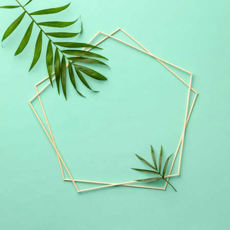 assortment green leaves with empty frame. High quality photoの写真素材