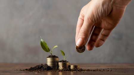 front view hand adding coins stack covered dirt plants. High quality photoの写真素材
