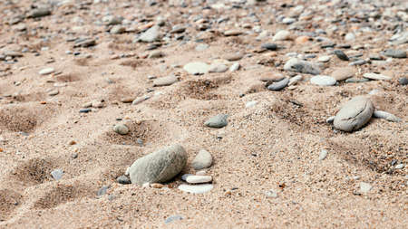 beautiful natural marine resources 2. High quality photoの写真素材