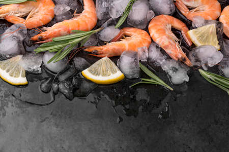 shrimps ice with lemon herbs. High quality photoの写真素材