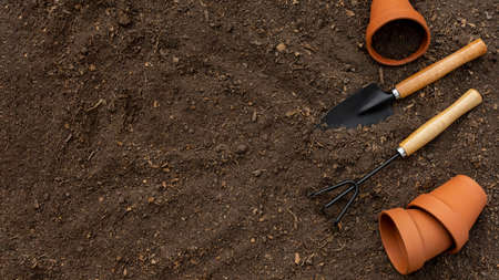 plants gardening tools . High quality photo