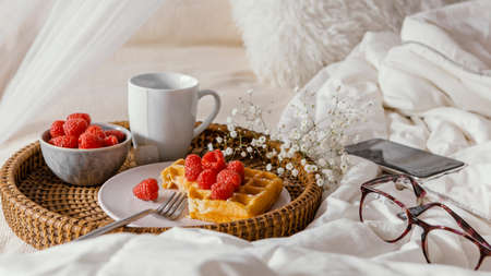 high angle delicious raspberry waffle plate. High quality photoの写真素材