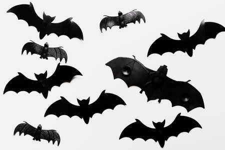 flat lay arrangement with bats. High quality photoの写真素材