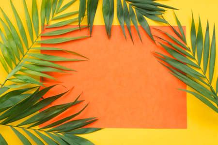 plant leaves blank orange paper frame yellow background. High quality photoの写真素材