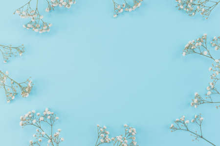 frame made gypsophila. High quality photoの写真素材