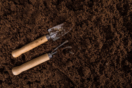 flat lay gardening composition with copyspace. High quality photoの写真素材