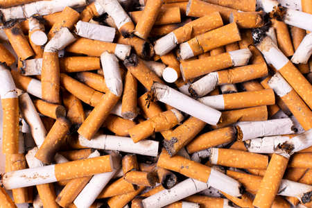 broken cigarettes arrangement. High quality photoの写真素材