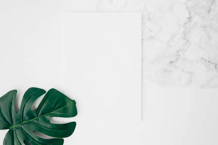 elevated view green monstera leaf white blank card desk. High quality photoの写真素材