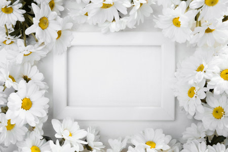 top view frame surrounded by daisies. High quality photoの写真素材