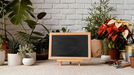 home garden arrangement with chalkboard. High quality photo