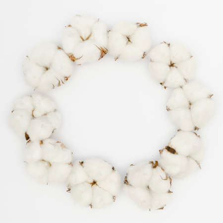 top view circular frame with white cotton flower. High quality photoの写真素材