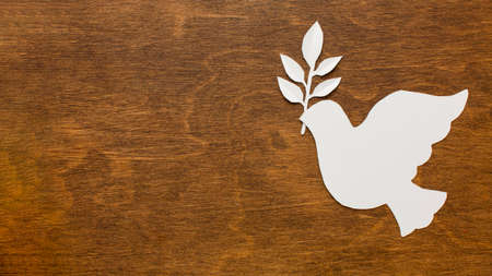 top view paper dove wooden surface. High quality photoの写真素材