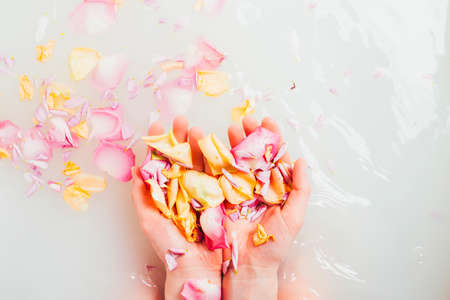hands with pile petals. High quality photoの写真素材
