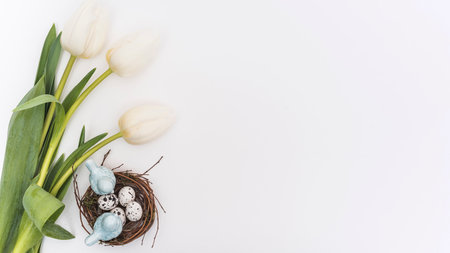 tulips quail eggs nest. High quality photoの写真素材