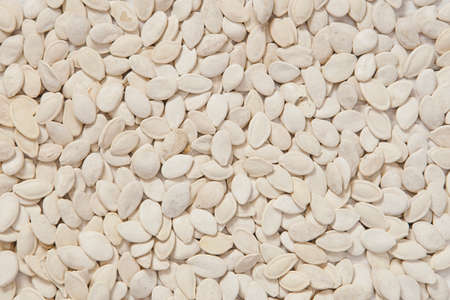 pumpkin seeds background. High quality photoの写真素材