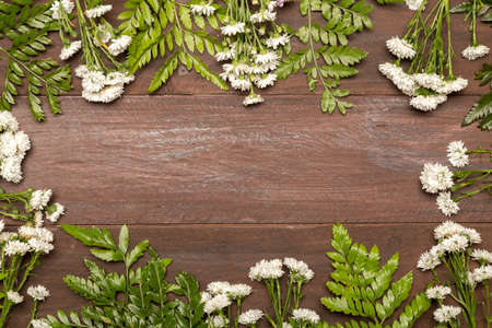 white flowers green leaves. High quality photoの写真素材